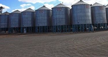 Pulses in Australia