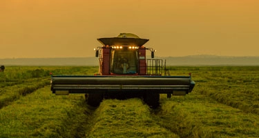 Importing & Distributing Rice